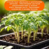 Удобрение минеральное для рассады и саженцев, Dr.Grunt, 120 г