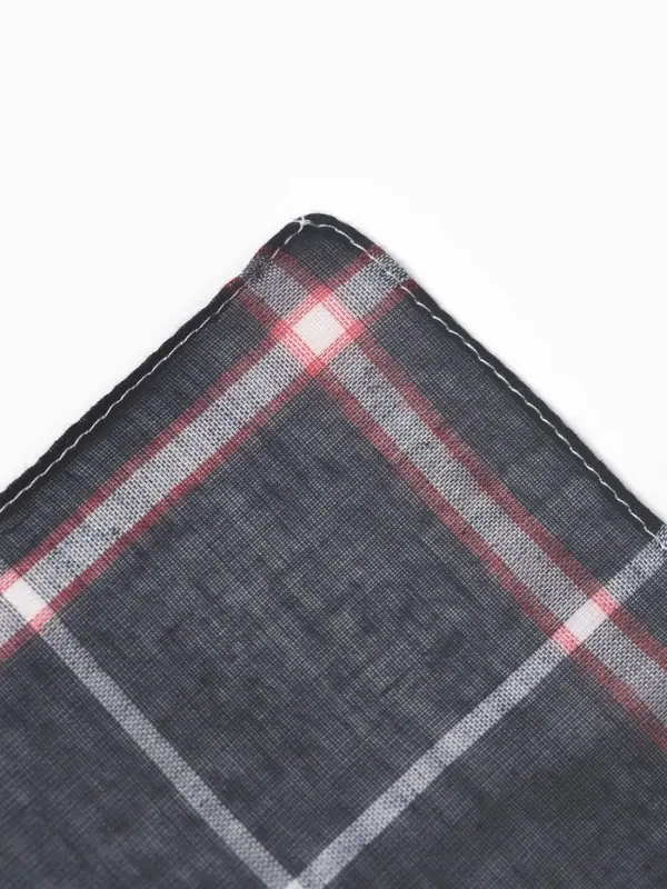 Платки носовые мужские Экономь и Я  Платки носовые мужские Экономь и Я "Клетка" 38*38 см, (набор 10 шт), рис. МИКС,100% пэ