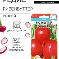 Семена Редис Ризенбуттер 2г