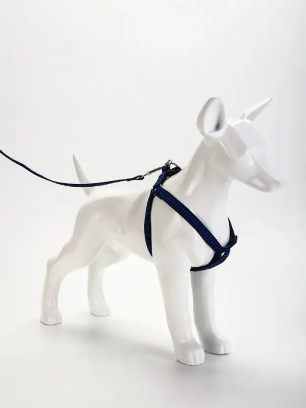 Шлейка с поводком, ОГ 36-49 см, ширина 1.5 см, поводок 120 см, рельефная, сине-чёрная