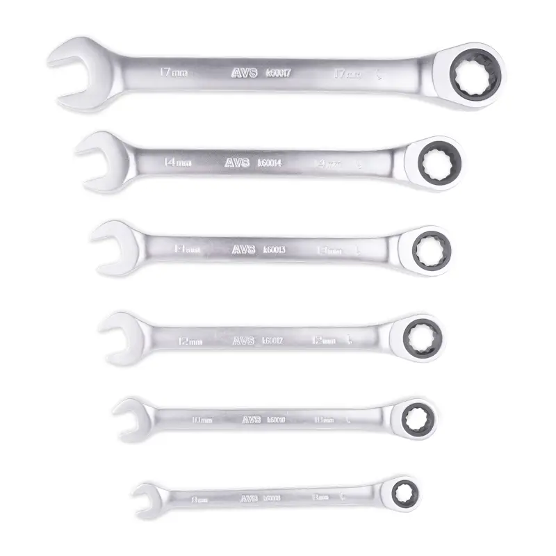 Набор ключей гаечных комбинированных трещоточных в пластике (8-17 мм) (6предметов) AVS K6N6P