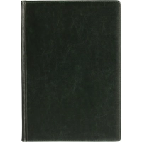 Ежедневник недатированный А4 210 х 302мм Sidney Nebraska 272 стр.3-539/05