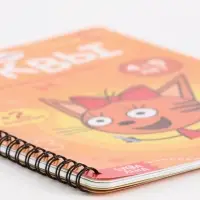 Книга многоразовая &laquo;Изучаем буквы&raquo;, 40 стр., 2 маркера, Три кота