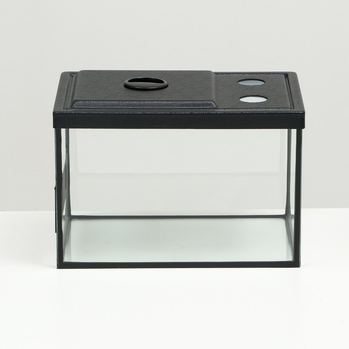 Улиточник со сквозной вентиляцией 12 литров, 30 х 20 х 20 см Улиточник со сквозной вентиляцией 12 литров, 30 х 20 х 20 см