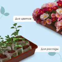Ящик для рассады, 53&times;21.5&times;7.2 см, 7.5 л, пластик, МИКС