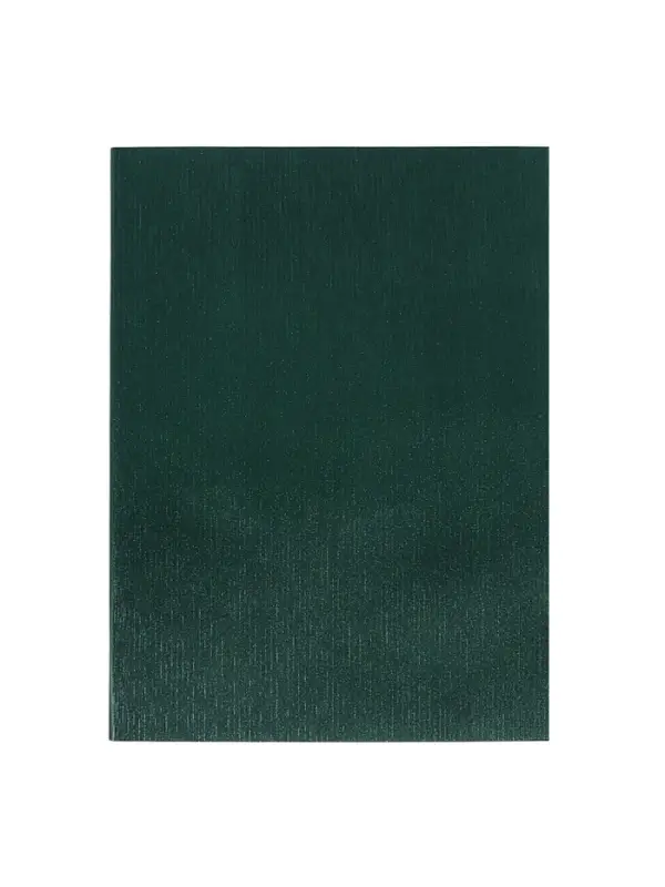 Компл тетр из 2шт А4 96л кл VIGO бумвинил VA0505 (Soft touch) зеленый, офсет (10267972)