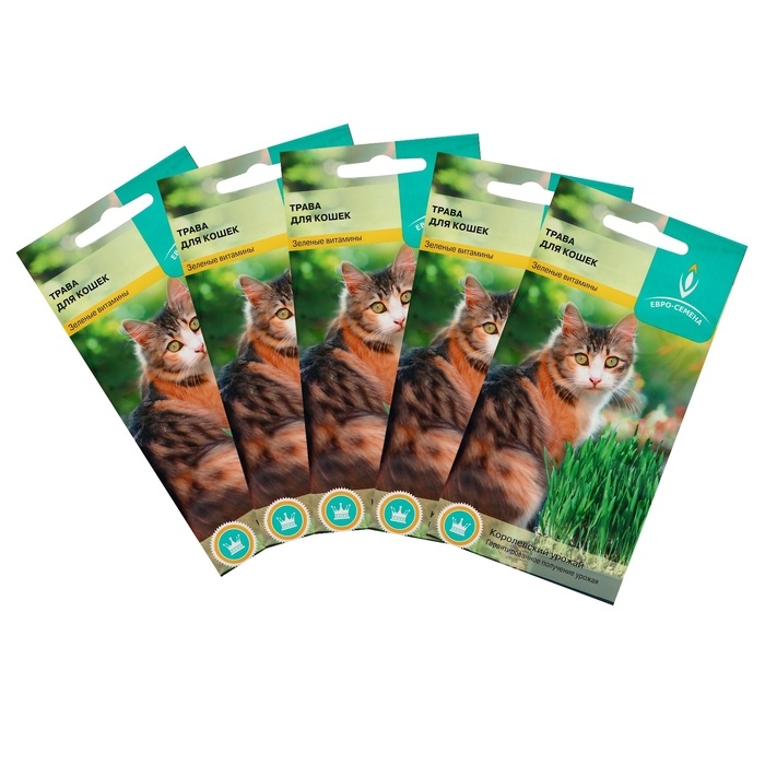 Семена Трава для кошек,набор 5 шт Семена Трава для кошек,набор 5 шт