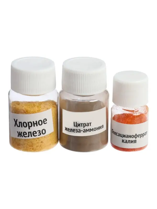 Набор для опытов ЭВРИКИ &laquo;Цианотипия&raquo;, создай принт на шоппере