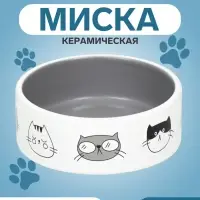 Миска &laquo;Четыре кота&raquo; 300 мл, 12.5&times;4.5 см, керамика, белая, серая