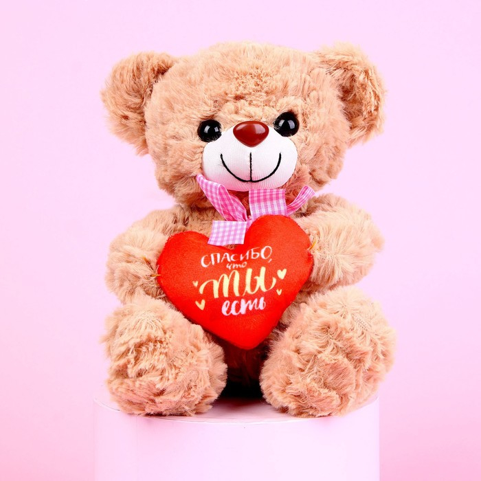 Мягкая игрушка «Спасибо, что ты есть», 22 см., МИКС