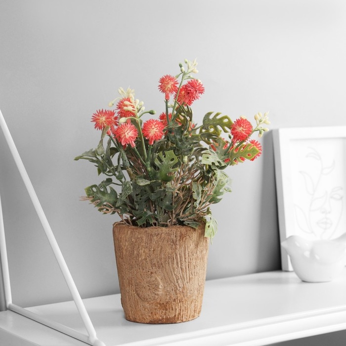 Бонсай Бонсай "Синеголовник экстра" 9х21 см, микс