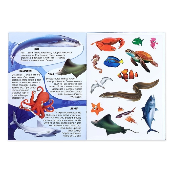 Активити книга с наклейками и растущими игрушками «Океан», 12 стр. Активити книга с наклейками и растущими игрушками «Океан», 12 стр.