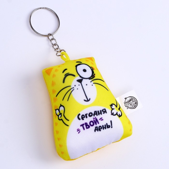 Брелок-антистресс &laquo;Сегодня твой день!&raquo;, кот, 6х7 см
