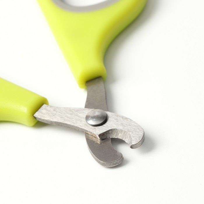 Ножницы-когтерезы с мягкими ручками, отверстие 8 мм, зелёно-серые Ножницы-когтерезы с мягкими ручками, отверстие 8 мм, зелёно-серые