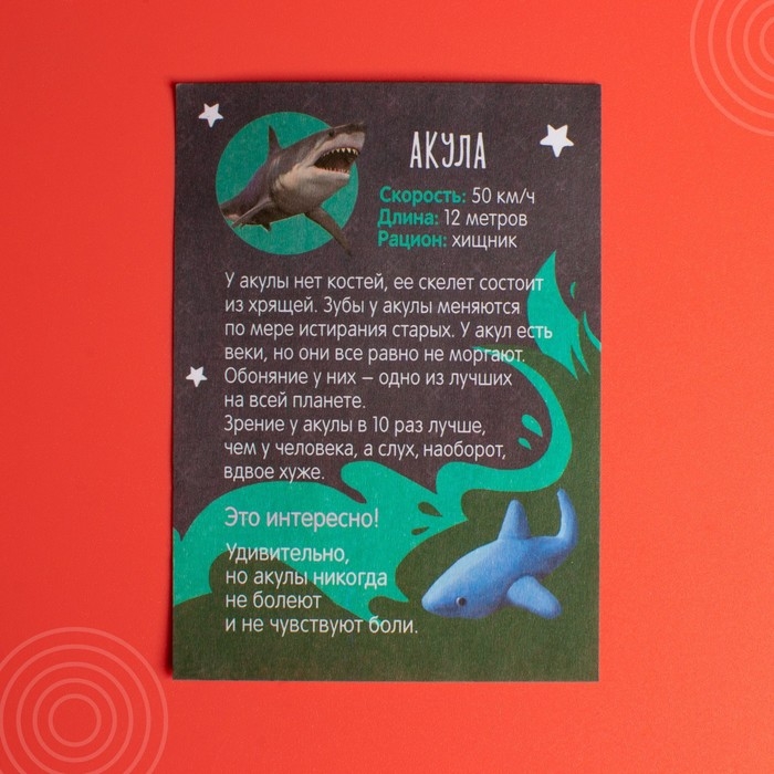 Растущие животные в яйце «Акула» МИКС