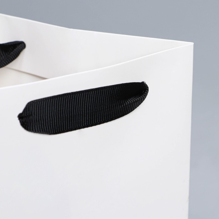 Пакет подарочный под бутылку, упаковка, «Present», 13 х 32 х 11,3 см