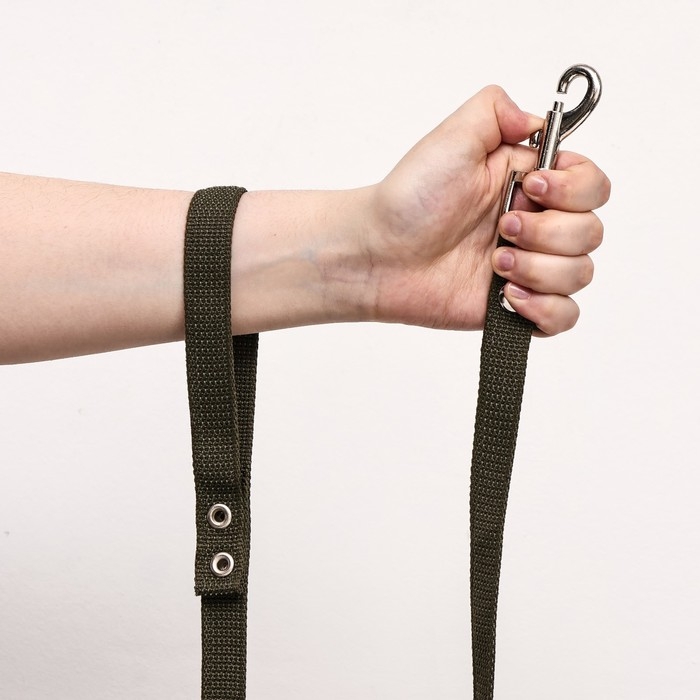 Поводок брезентовый 2 м х 2 см, тёмно-зелёный Поводок брезентовый 2 м х 2 см, тёмно-зелёный