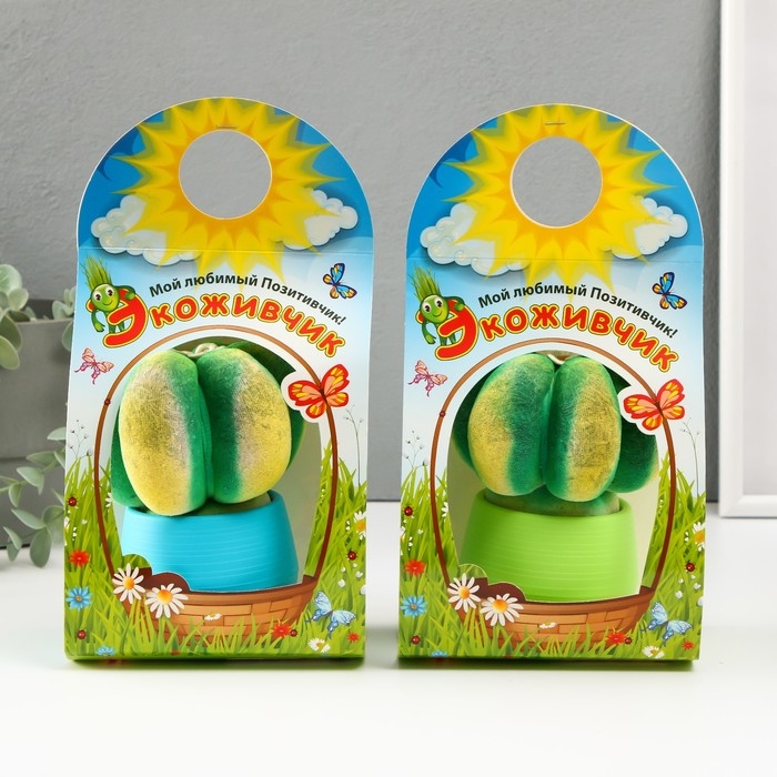 Растущий подарок травка Экоживчик Растущий подарок травка Экоживчик "Кактус Астрофитум" МИКС