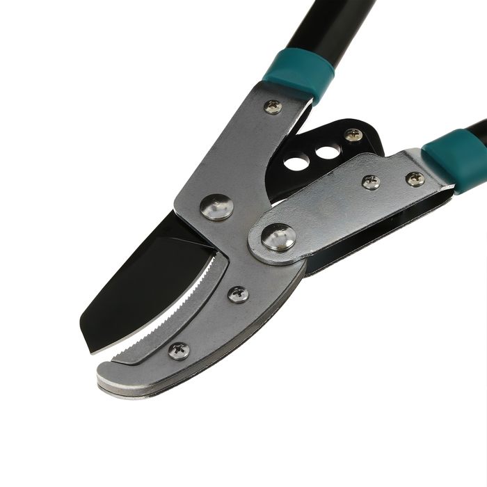 Сучкорез контактный, 31 Сучкорез контактный, 31" (79 см), с наковальней, с пластиковыми ручками, МИКС, Greengo