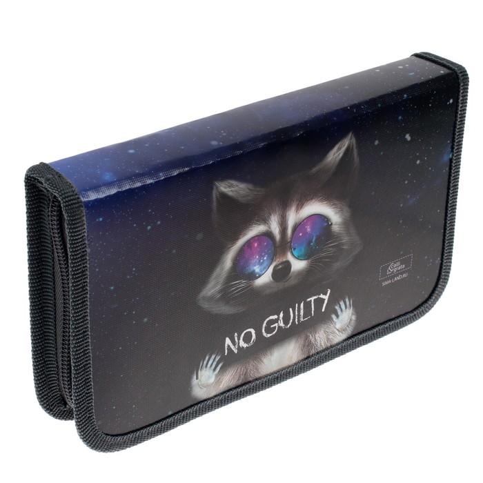 Пенал 1 секция 115 х 205 х 30 мм, Calligrata Пенал 1 секция 115 х 205 х 30 мм, Calligrata "Енот", ламинированный картон