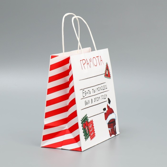 Пакет подарочный новогодний крафтовый «Молодец», 22 х 22 х 11 см, Новый год Пакет подарочный новогодний крафтовый «Молодец», 22 х 22 х 11 см, Новый год