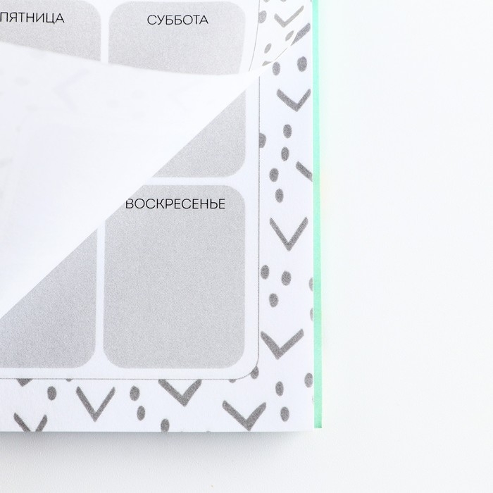 Планер с отрывными листами, 50 л. 17х9см «Тюльпаны» Планер с отрывными листами, 50 л. 17х9см «Тюльпаны»