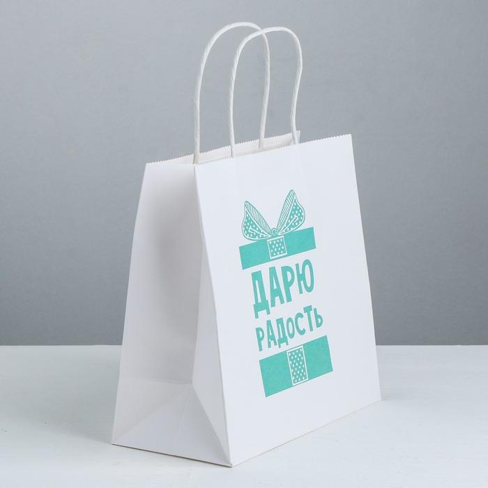 Пакет подарочный, упаковка, «Дарю радость», 22 х 22 х 11 см Пакет подарочный, упаковка, «Дарю радость», 22 х 22 х 11 см