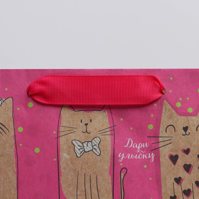 Пакет подарочный крафтовый вертикальный, упаковка, «Милые котики», ML 23 х 27 х 8 см Пакет подарочный крафтовый вертикальный, упаковка, «Милые котики», ML 23 х 27 х 8 см