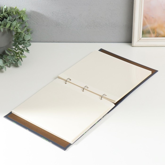 Фотоальбом на кольцах на 200 фото 6х9 см Фотоальбом на кольцах на 200 фото 6х9 см "Коалы на деревьях" 3х22,7х23,5 см