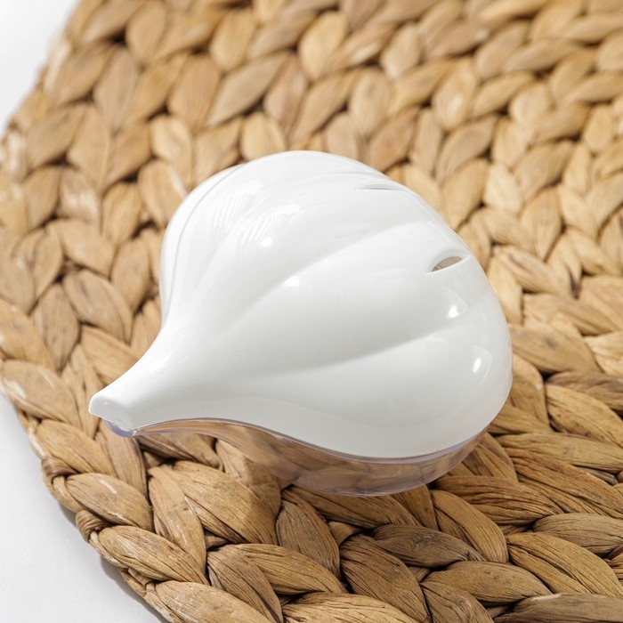 Контейнер для хранения чеснока, 9×8,3×6,2 см, пластик, белый