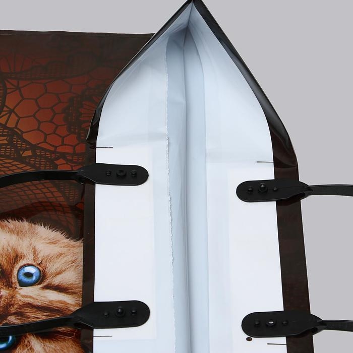 Пакет  Пакет "Бэбикэтс", полиэтиленовый с пластиковой ручкой, 40 х 44, 100 мкм