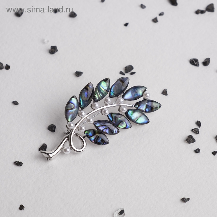 Брошь-кулон &laquo;Галиотис&raquo; завиток с жемчугом, цвет зелёный в серебре