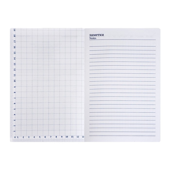 Ежедневник недатированный BOSS А5, 140 листов в клетку, с ручкой, обложка ПВХ, МИКС Ежедневник недатированный BOSS А5, 140 листов в клетку, с ручкой, обложка ПВХ, МИКС