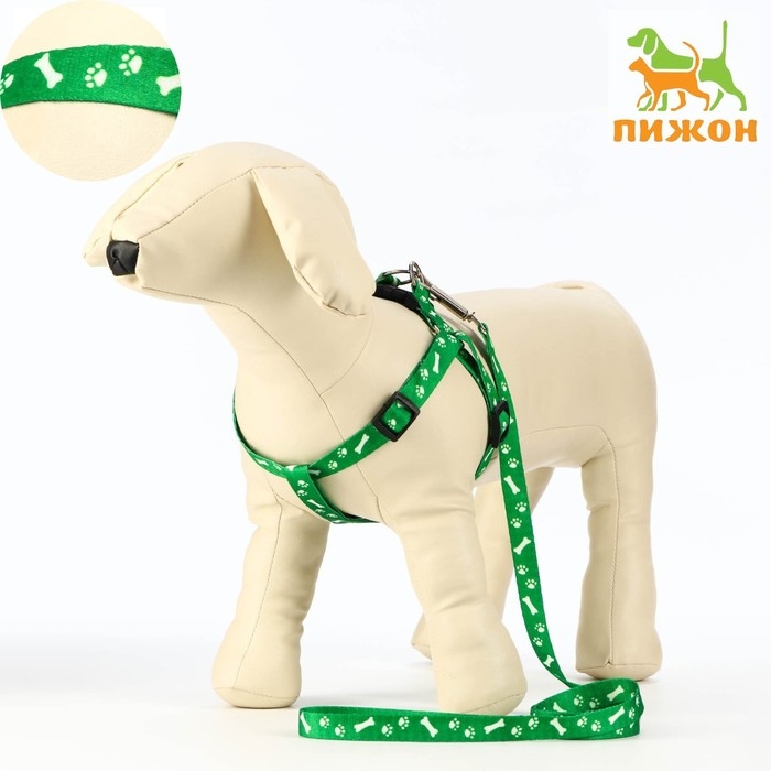 Комплект капроновый Комплект капроновый "Косточки и лапки", 1,5 см, шлейка 30-44 см, поводок 120 см, зелёный