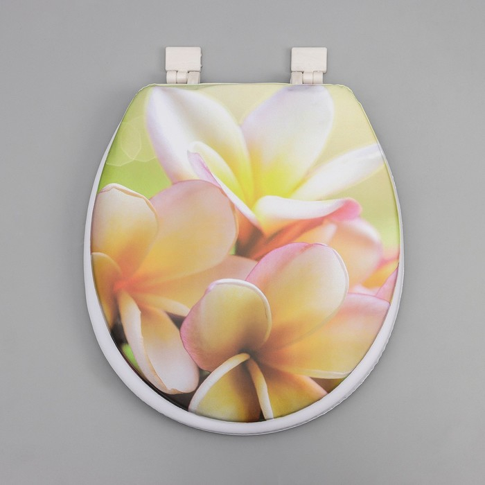 Сиденье для унитаза с крышкой «Плюмерия», 40×37 см Сиденье для унитаза с крышкой «Плюмерия», 40×37 см