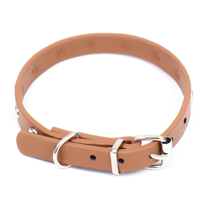 Ошейник клёпаный из искусственной кожи, 30,5 х 1 см, микс цветов Ошейник клёпаный из искусственной кожи, 30,5 х 1 см, микс цветов