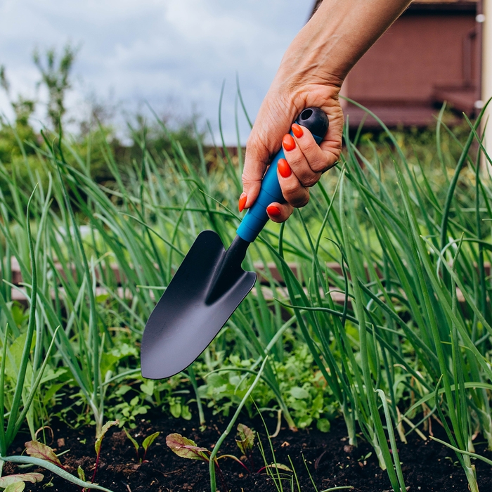 Совок посадочный Greengo, длина 31 см, ширина 8,5 см, пластиковая ручка Совок посадочный Greengo, длина 31 см, ширина 8,5 см, пластиковая ручка