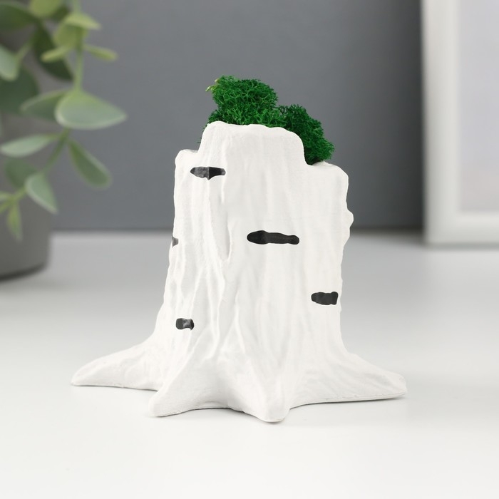 Кашпо бетонное Кашпо бетонное "Пенек березка" 7,5х8,5х7 см со мхом (мох зеленый стабилизированный)