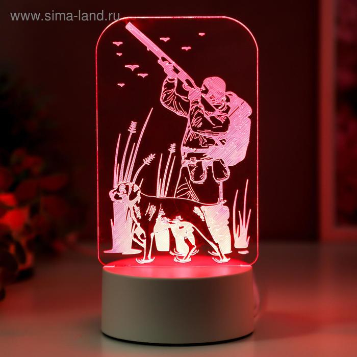 Светильник  Светильник "Охотник" LED RGB от сети 9,5х10х19,5 см RISALUX