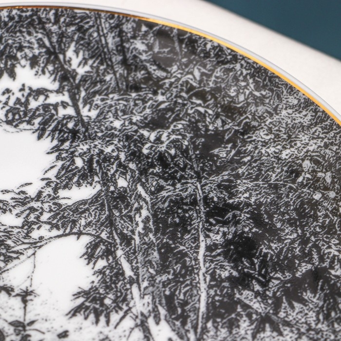 Тарелка «Пейзаж», d=21 см, фарфор