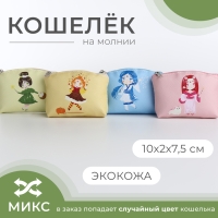 Кошелёк на молнии, цвет МИКС