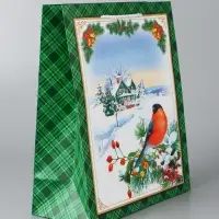 Пакет подарочный новогодний ламинированный &laquo;У Ёлочки &raquo;, 26&times;32&times;12 см