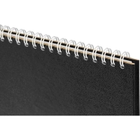 Планинг недатированный бумвинил черный 300х135,56 л.21с11 П