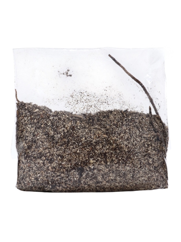 Хоста "American Halo", р-р I, размер L,1 шт, Весна 2025, ЭКОНОМ,