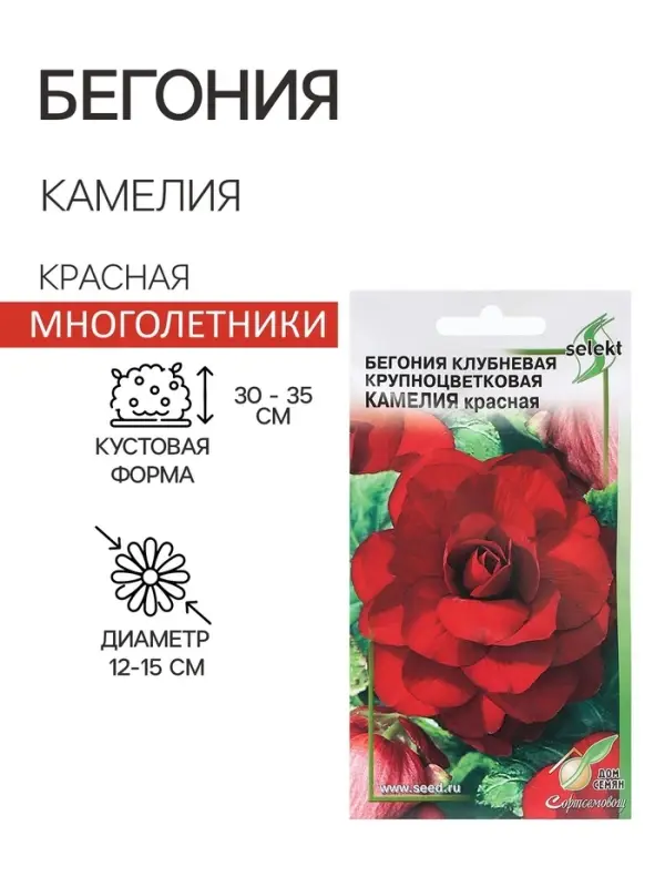 Семена цветов Бегония крупноцвет  Семена цветов Бегония крупноцвет "Камелия",  красная,     10 шт