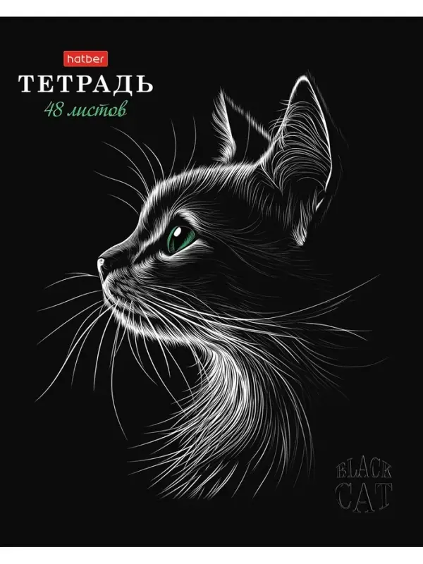 Тетрадь 48л А5ф клетка 60-65г/кв.м на скобе Обл. мел.картон мат.ламин. 3D лак МИКС