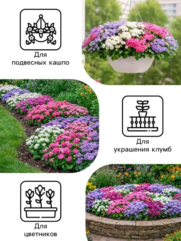 Семена цветов Агератум &laquo;Цветной фонтан&raquo;, смесь, 0.05 г, &laquo;Рецепты дедушки Никиты&raquo;