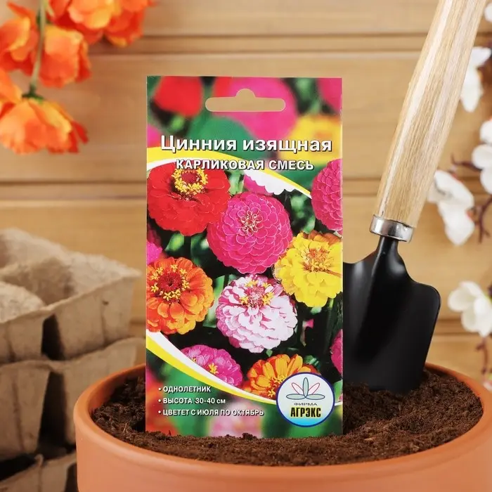 Семена цветов Цинния изящная карликовая смесь, О, 0,2-0,3 г Семена цветов Цинния изящная карликовая смесь, О, 0,2-0,3 г