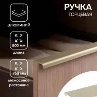 Ручка профильная мебельная торцевая CAPPIO RT002AU, L=800 мм, м/о 768 мм, сатиновое золото