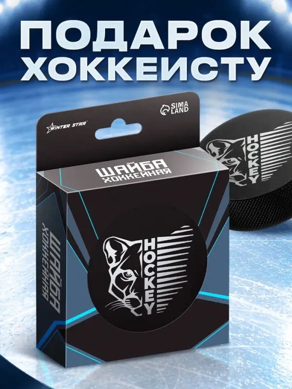 Шайба хоккейная Winter Star, взрослая, d=7.6 см